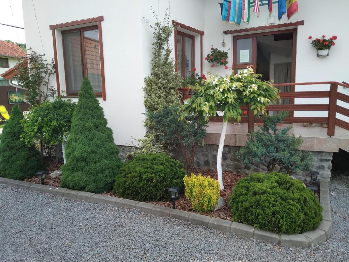 Raza Soarelui Apartment Sovata Luaran gambar